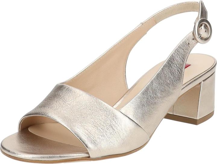 Actual product image Högl Pumps (34.5)