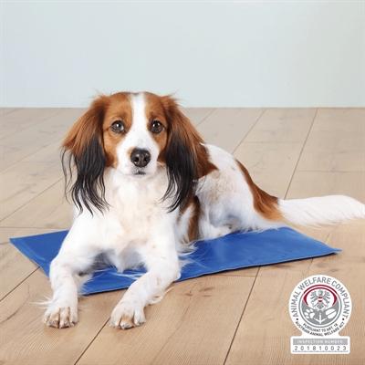 Produktbild Trixie Kühlmatte (Hund, Katze)