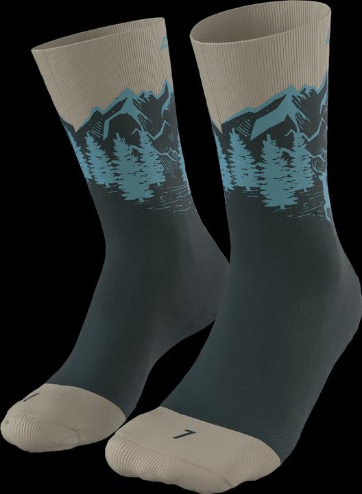 Actual product image Dynafit Stay Fast Socks Unisex (35 - 38)