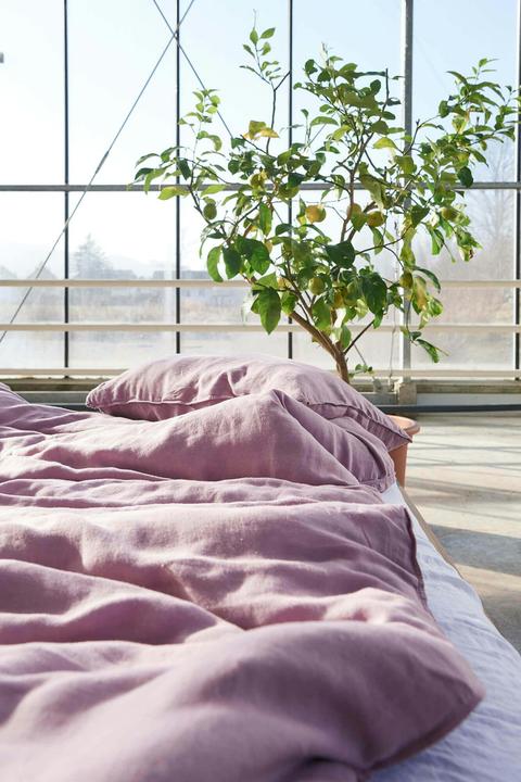 Actual product image lavie Lotta (Pillowcase, 65 x 100 cm)