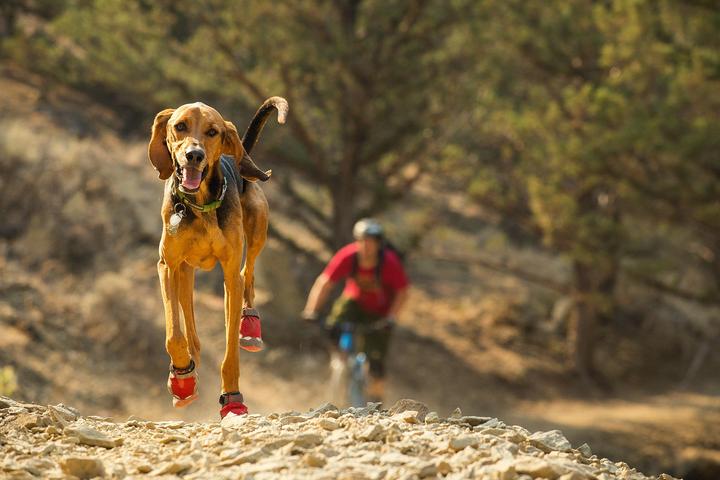 Produktbild Ruffwear Grip Trex 2 Paare Hundeschuhe (L, Hundeschuhe)