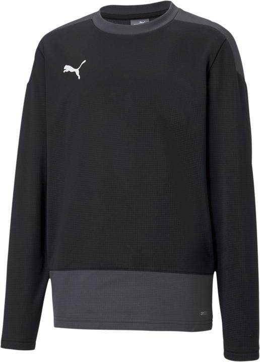 Puma teamGOAL 23 TRG Sweat Jr-656568 (152)