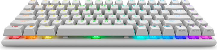 Immagine prodotto Dell Alienware Pro Wireless Gaming Keyboard (US, Senza fili)
