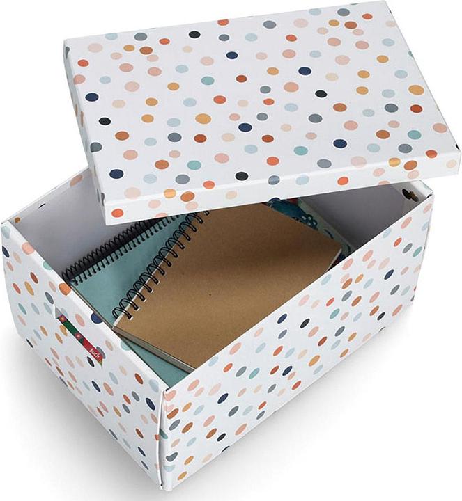 Immagine prodotto Zeller Present Puntini (25 x 35 x 20 cm, 17.50 l)