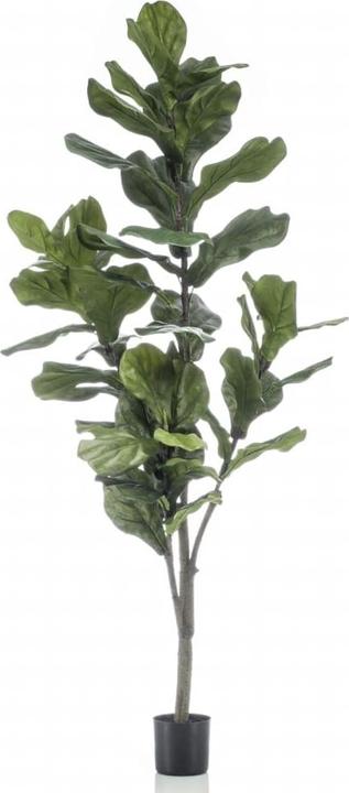 Actual product image Emerald Griz (160 cm)