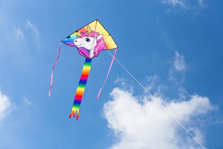 Image du produit Invento Simple Flyer Licorne