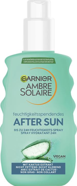 Garnier Ambre Solaire (Spray, 150 ml)