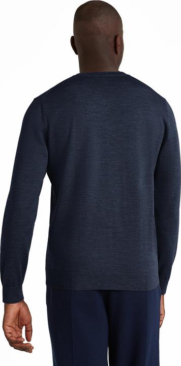 Immagine prodotto Falke BA V-Neck m (L)