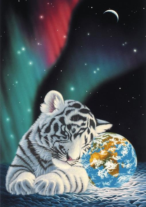 Produktbild Grafika Puzzle 1500 pieces Schim Schimmel - Earth Light (1500 Teile)