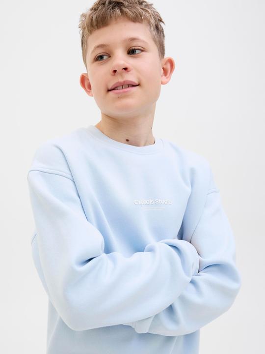 Immagine prodotto Jack & Jones Felpa stampata junior (140)