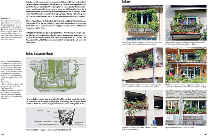 Produktbild Praxishandbuch Stadtnatur (Deutsch, Andrea Haslinger, Sabine Tschäppeler, 2024)
