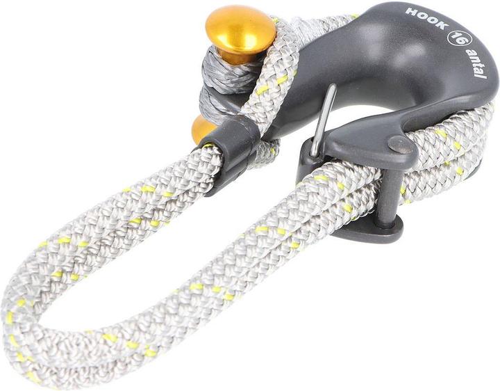 Actual product image Antal Hook shackle