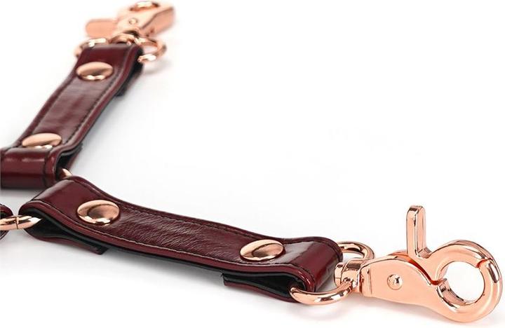 Produktbild Liebe Seele 4er Lederfessel Hogtie mit Clips