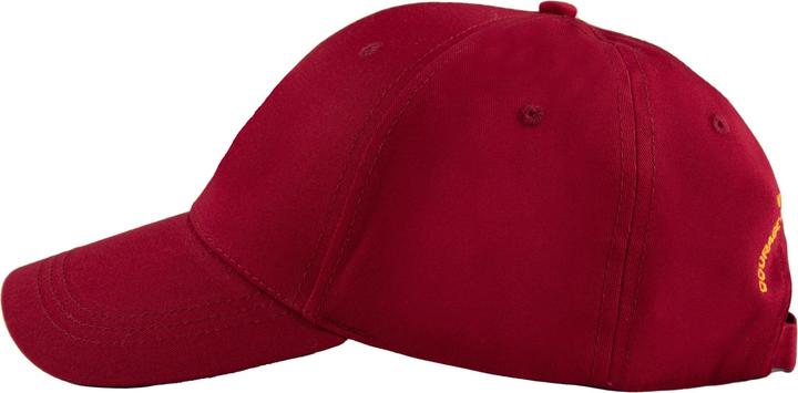 Actual product image Cinereplicas Harry Potter casquette Baseball Gryffindor (One size)