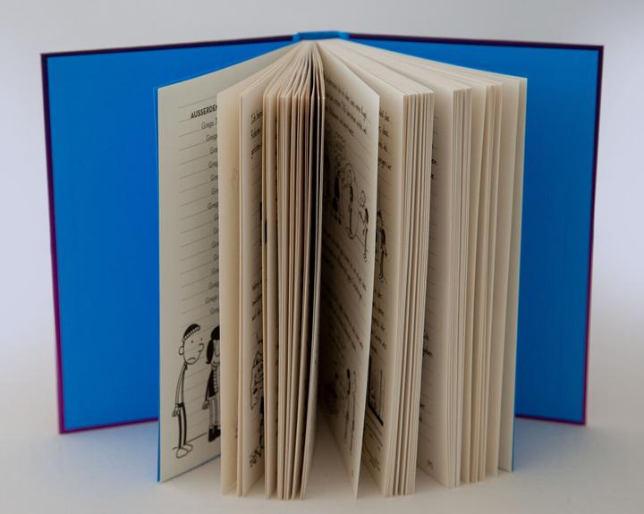 Productafbeelding Gregs Tagebuch 13 - Eiskalt erwischt (Duits, Jeff Kinney, 2018)