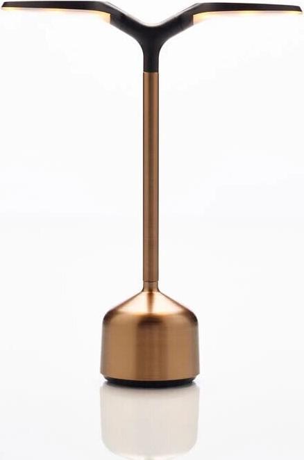 Bronze