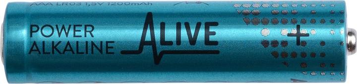 Produktbild Batterie Alkaline (10 Stk., AAA, 1200 mAh)
