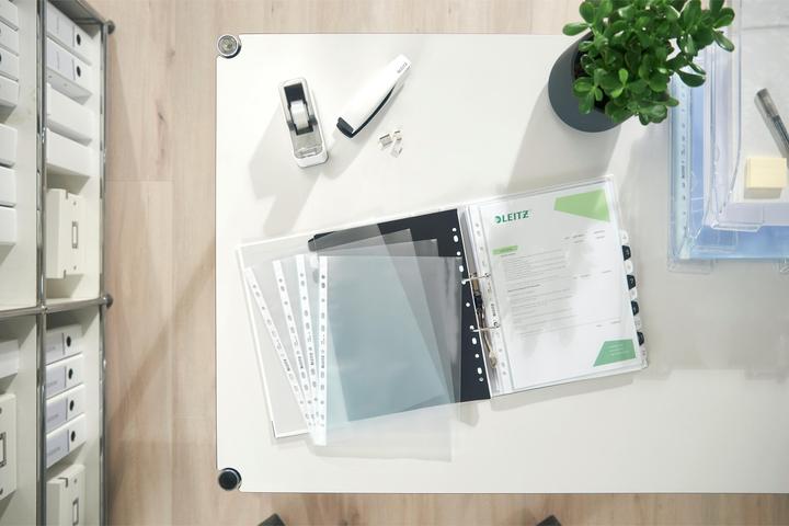 Actual product image Leitz Standard brochure cover (A4, 100 x)