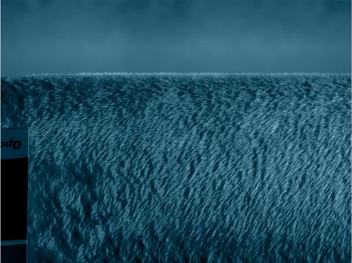 Immagine prodotto Beurer HD 75 Oceano (180 x 130 cm)