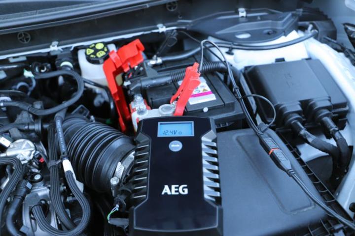 Immagine prodotto AEG LD 6 (6V, 12V, 0.65 A)