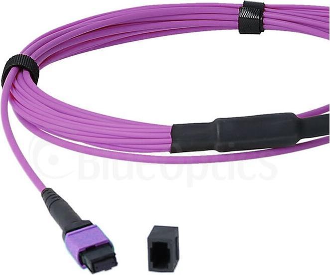 Produktbild BlueOptics LWL MTP/8xLC Duplex Breakout Kabel OM4 1 Meter (1 m)