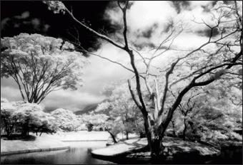 Produktbild Cokin Filter P007 Infrarot 89B (84 mm, Infrarot durchlass Filter, 84 mm)