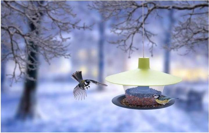 Produktbild Siena Garden Vogelhäuschen