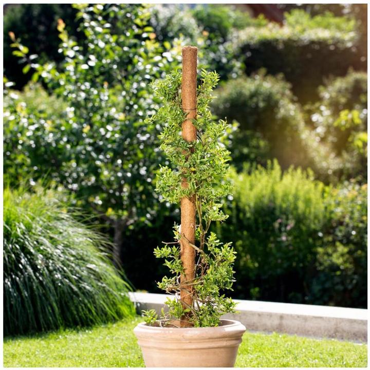 Immagine prodotto Windhager Cocco (60 cm, 4 cm)
