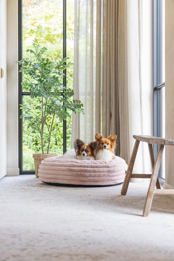 Produktbild Designed by Lotte Liegekissen Reza (Hund)