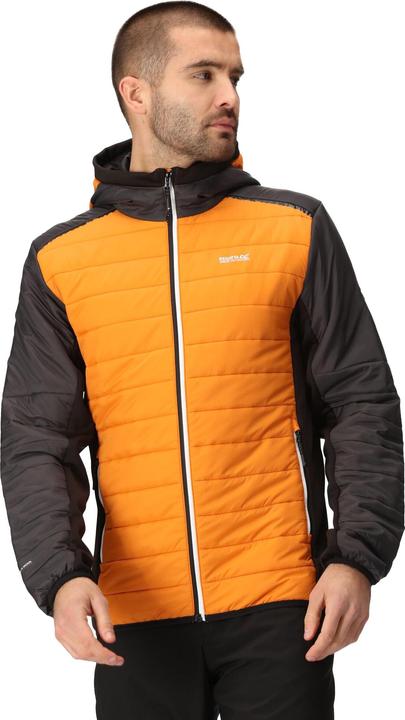 Produktbild Regatta Trutton II Steppjacke (M)