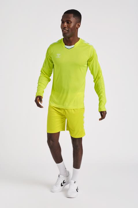 Actual product image hummel Core Xk Poly Shorts (M)