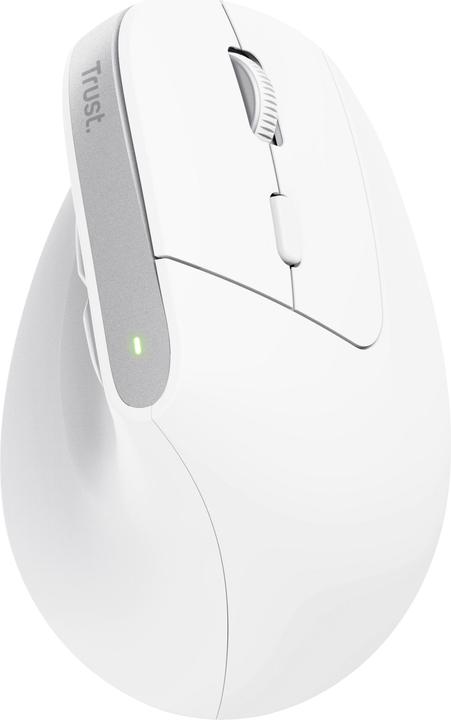 Actual product image Trust Bayo+ Ergonomic Wireless (Wireless)