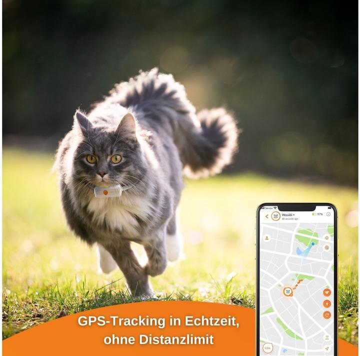 Actual product image Weenect GPS-Tracker (XS, Cat, General)