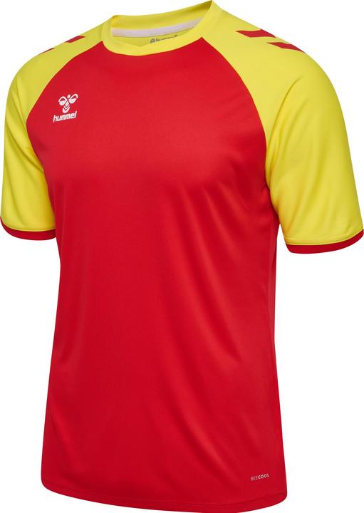 trueredblazingyellow