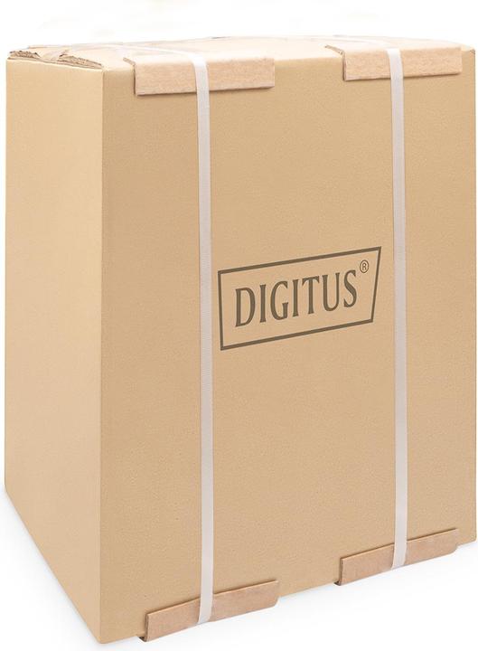 Immagine prodotto Digitus Custodia professionale a parete (9 HE, Portapacchi da 10 pollici)
