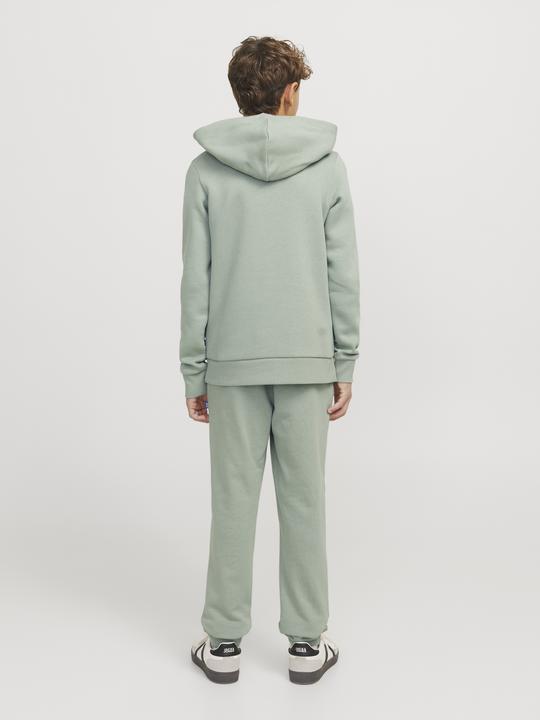 Actual product image Jack & Jones JJELOGO SWEAT HOOD 2 COL 24/25 NOOS JNR (164)