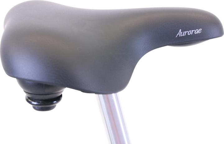 Actual product image Hawk City Classic Joy (48 cm)