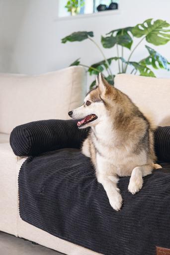 Image du produit Designed by Lotte Coussin de canapé Ribbed (Chien)