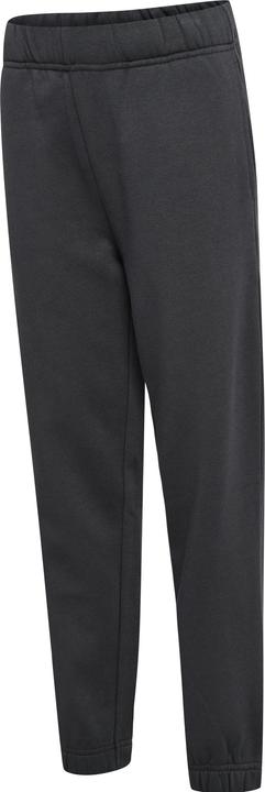 Image du produit hummel hmlALVIN PANTS (104)