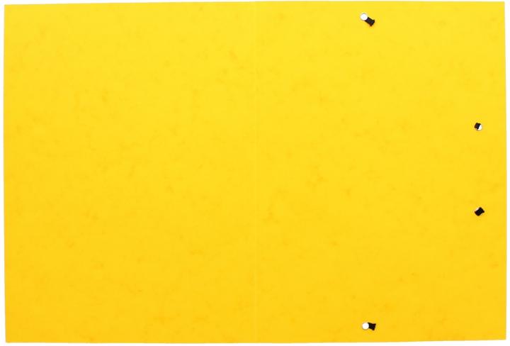 Produktbild Pagna Spannmappen A4 (A4, 1 x)