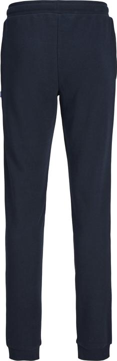 Actual product image Jack & Jones JPSTELOGO SWEATPANTS 2COL 24/25 NOOS JNR (140)