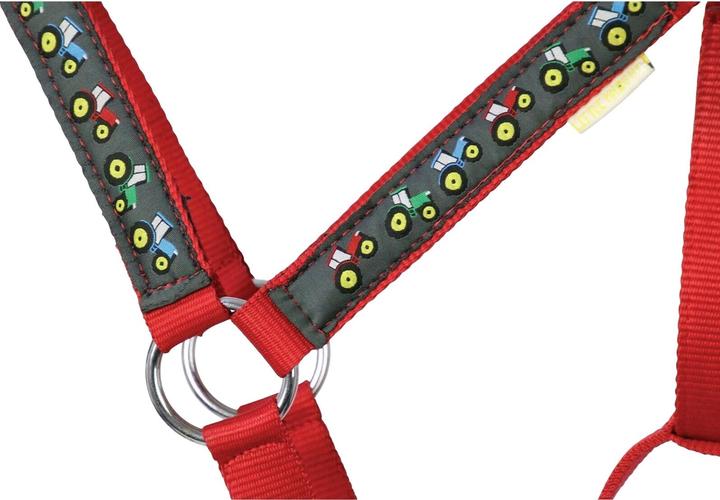 Immagine prodotto Little Set di cavezza e guinzaglio per cavalli