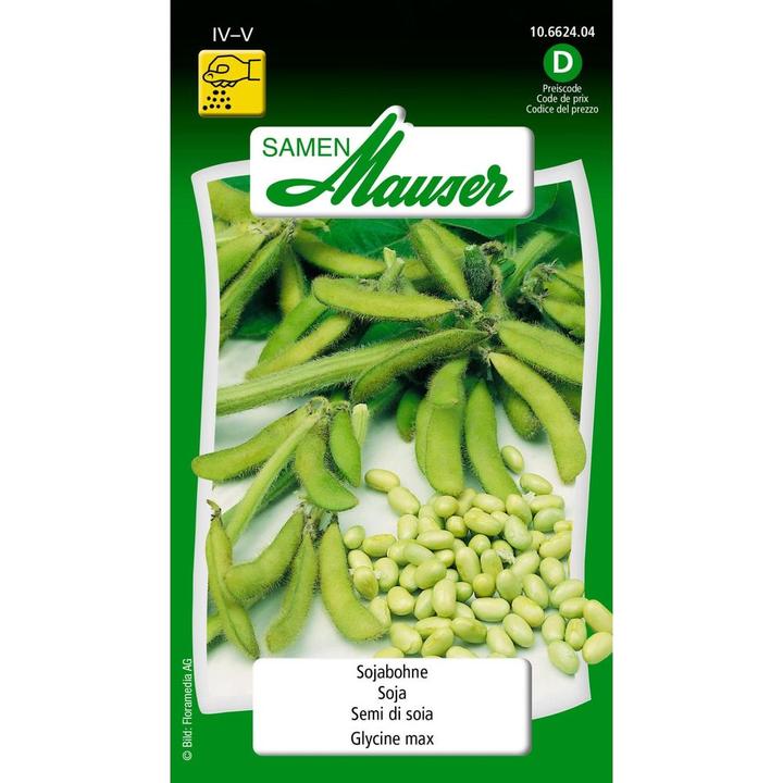 Produktbild Samen Mauser Sojabohne (Gemüsesamen)