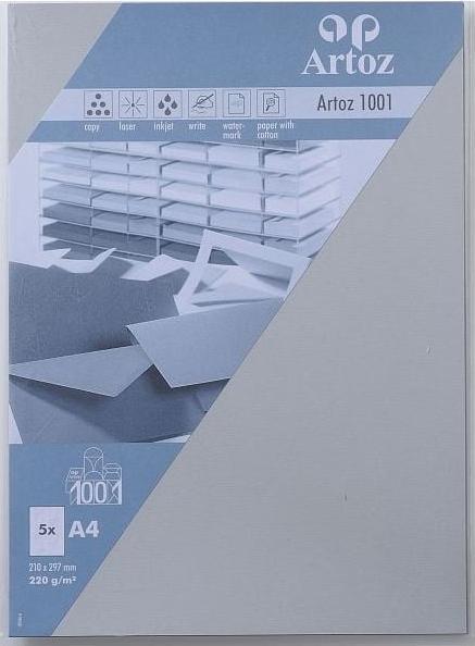 Artoz 1001 A4 220g lichtgrau 5 Kartons (A4, 220 g/m², 5 x)