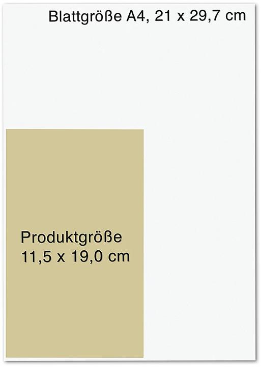 Produktbild Immunbooster Selbstliebe (Deutsch, Ulrike Scheuermann, 2021)