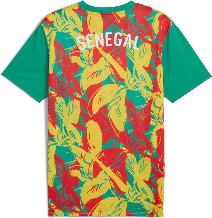 Produktbild Puma voranstosstrikot sénégal 2024 (M)
