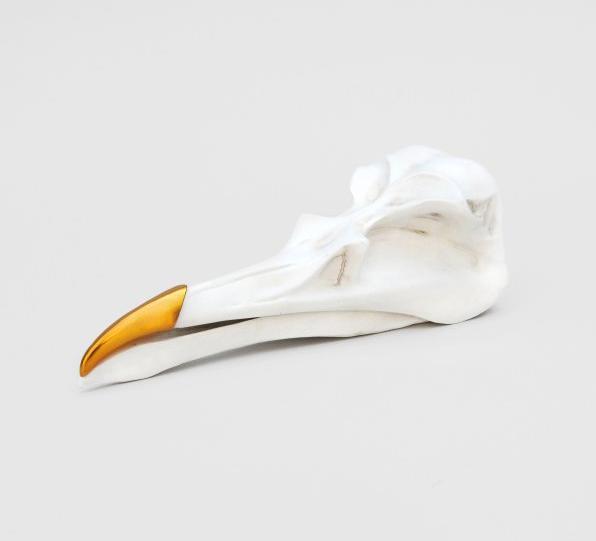 Suck UK Cranio di uccello Tidy