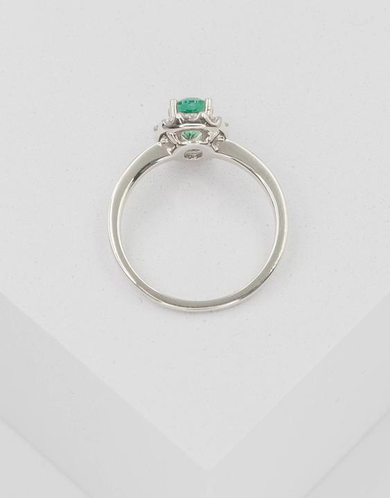 Produktbild Muau Ring (52, 950 Platin)