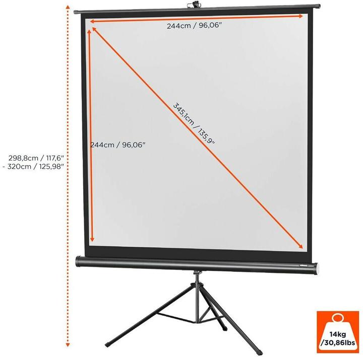 Actual product image Celexon Eco tripod, screen, 1:1 (135.83", 1:1)