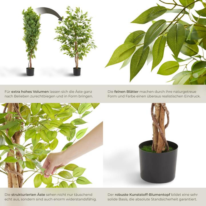Produktbild tectake Ficusbaum Fida (120 cm)
